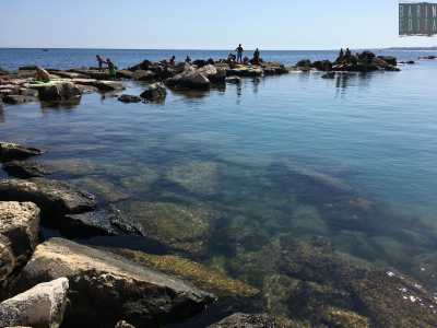 Da qui si estende poi una sorta di molo lungo all�incirca cinquanta metri che permette di raggiungere acque pi� profonde...